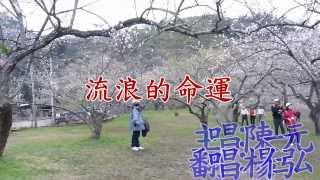 流浪的命運(陳一元) 楊仁弘翻唱_HD高畫質_SAYATOO卡拉字幕精靈_會聲繪影製作KTV影片_音圓半唱機
