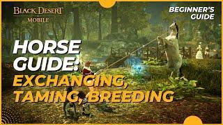 Horse Guide: Taming, Delivery, Dream Horse, Spirit Stones, & More - Black Desert Mobile (2023)