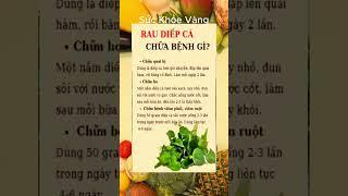 Bí Quyết Giữ Gìn Sức Khỏe Toàn Diện | Sức khỏe vàng #ChămSócSứcKhỏe #BảoVệSứcKhỏe #SốngKhỏeMỗiNgày