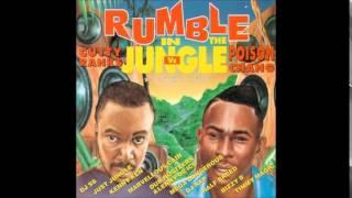 01  Cutty Ranks - Limb By Limb (DJ SS Remix) JFCD 002 (Jungle Fashion Records) 1995