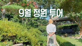 9월 정원 투어 | 330평 가드닝을 유지할 수 있는 자세 ️‍ | 여뀌꽃, 국수꽃, 과꽃, 9월의 장미, 팜파스사초, 당근키우기