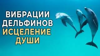 Вибрации Дельфинов + Музыка для Глубокого Расслабления, Исцеления, Умиротворения и Восстановления 