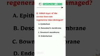 Which Corneal Layer Doesn’t Regenerate? | Eye Anatomy Explained