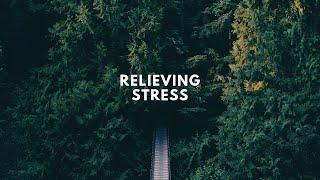 My Experience in Relieving Stress in Life