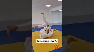 Самый зрелищный бросок в дзюдо