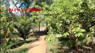 farm land for sale in kanchipuram