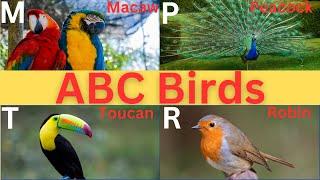 Top Ornithologist Shares ABC Birds for Kids from A to Z!