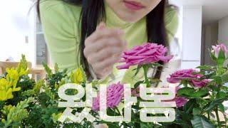 봄내음 완연한 주말 일상 vlog