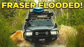 Exploring Fraser Island's Hidden Secrets... No one goes here