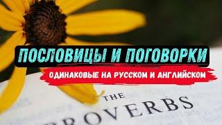 13 английских пословиц и поговорок схожих с русскими. Языковые Параллели