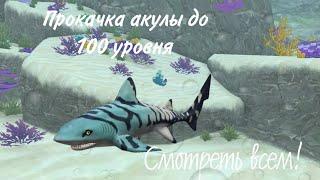 Шок!! Прокачка акулы до 100 лвла!!