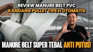 Manure Belt PVC SUPER TEBAL Untuk Kandang Pullet Tipe H - Tandang Ke Kandang Eps. 7