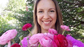 Thrifting for Vessels and Playing with Flowers // Northlawn Flower Farm