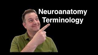 Neuroanatomy Terminology