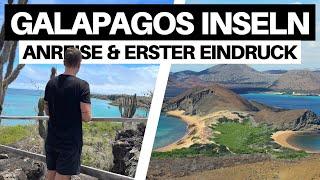 Auf zu den Galapagos Inseln! (Anreise & Erster Eindruck) | Ecuador Vlog 