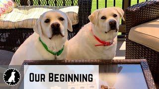 Inspiration: The Beginning of White Lab Workshop