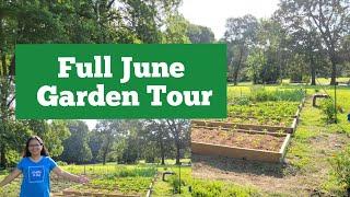 Gardening in Kentucky Backyard Garden Tour in June | Growing Plenty of Food in My Backyard