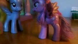 Lily Blossom Meets Princess Twilight Sparkle