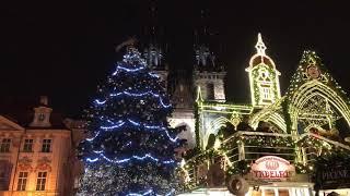 Christmas tree on the Old Town Square in Prague