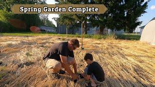 Planting Out the Cover Crop Garden