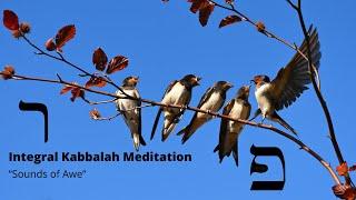 Integral Kabbalah Meditation: “Sounds of Awe” | ט, ר, פ