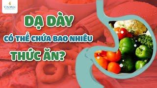 Dạ dày có thể chứa bao nhiêu thức ăn?