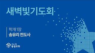 2025. 3. 12 / 새벽빛기도회 / 송유리 전도사 / 세상의빛동광교회 온라인예배