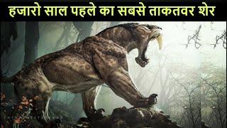 Sabertooth Tiger- जिस दानव से खौफ खाते थे बड़े बड़े जानवर | Mystery of Sabertooth Tiger