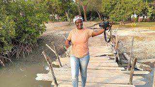 A DAY-LONG TRIP TO  BOABAB ISLAND  (SITA JOYEH)