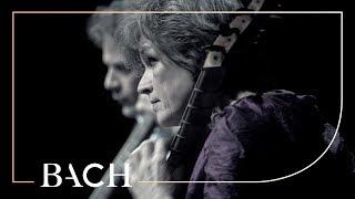 Bach - 'Brandenburg' Concerto no. 6 in B-flat major BWV 1051 - Sato | Netherlands Bach Society