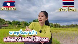 พายุเริ่มมาแล้ว แต่นาบ่าวไทยยังบ่ได้ทำเลย