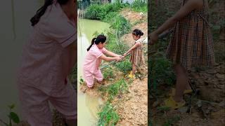 Funny Moments Faceoff Cute Animals vs Crazy Pets