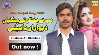 Mere Bakhtaan Tey Changiyan Deewaran Da Beli - New Punjabi Saraiki Song 2025 - Shahbaz Ali Shahbaz