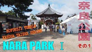 【4K Town Walking Japan #31】NARA PARK Ⅰ 城镇漫步 奈良公园第一部分 奈良公園その１　奈良