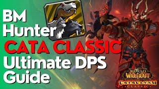 BM Hunter Complete DPS Guide  | Cataclysm Classic