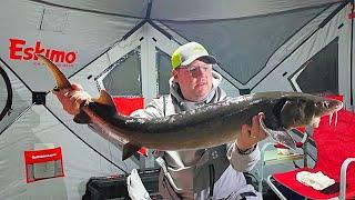 Ice Fishing Sturgeon Your Questions Answered