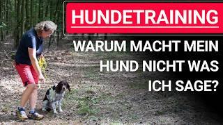  Hundetraining ️ Warum macht mein Hund nicht was ich sage? ️ Praxisvideo ️