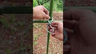 Knot Tying Instruction Guide #Short Video1