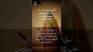 Khudi Sher-E-Mola, Jahan Iss Ka Sayd - Dr. Allama Iqbal #Poetry #MaulaAliRA #Khudi #Iqbaliyat #Allam