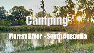 Murray River Camping South Australia - Cordola Camping