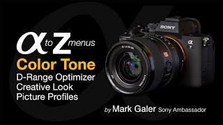 Sony Alpha Menus A to Z: D-Range Optimizer, Creative Look & Picture Profiles