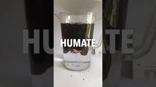 Ihumate - 100% Water soluble Potassium humate shiny 3-4 flake