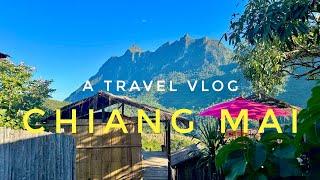 5 days in Chiang Mai | Thailand vlog