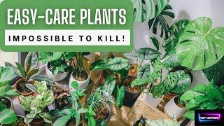 Top 10 EASIEST plants to maintain (impossible to KILL!)