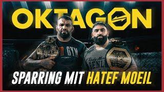 SPARRING mit OKTAGON-Champion HATEF MOEIL 