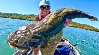 Catching HUGE FLATHEADfishing the flats