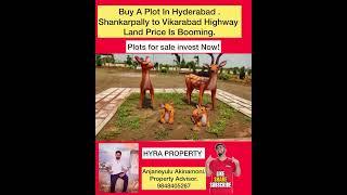 Buy A Plot In Hyderabad || Shankarpally to Nawabpet Land Price is booming . Plots For Sale .