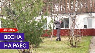 Прибирають дороги і сіють квіти: весна на РАЕС
