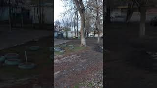 Сумашедшая бабка жжёт бумагу!!!#Shorts#сумашедшая бабка#жжет бумагу#а4#бабка
