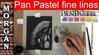 Pan pastel - How to do Thin Lines - Jason Morgan wildlife art